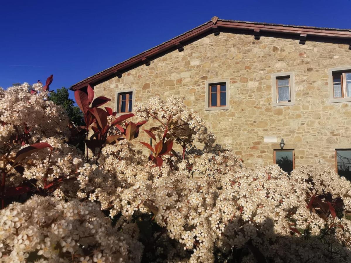 Gasthaus Il Cerro Pelago Exterior foto