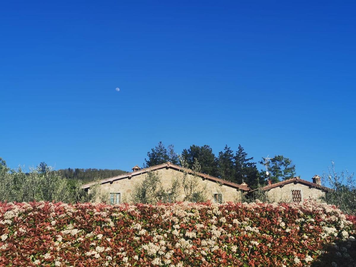 Gasthaus Il Cerro Pelago Exterior foto